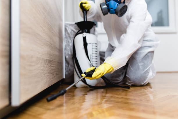 Best Pest Inspection Near Me  in Little Canada, MN