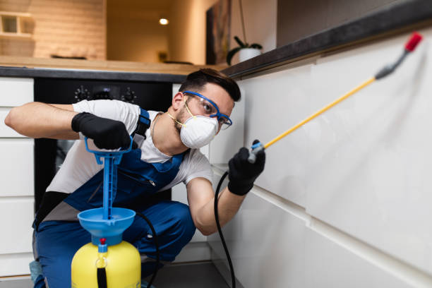 Best Exterminator Services  in Little Canada, MN