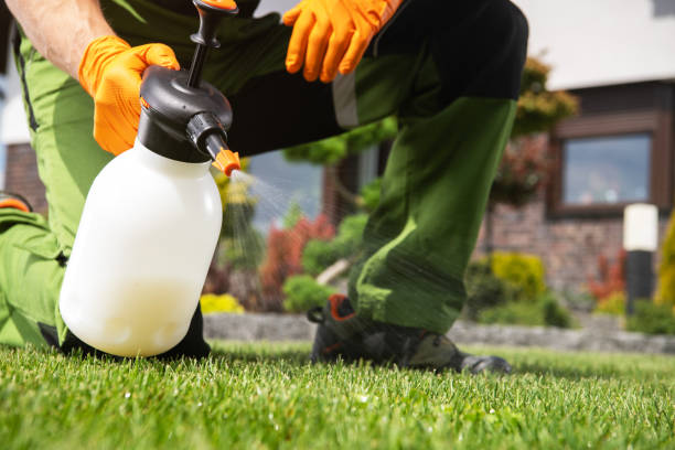 Best Pest Prevention Services  in Little Canada, MN