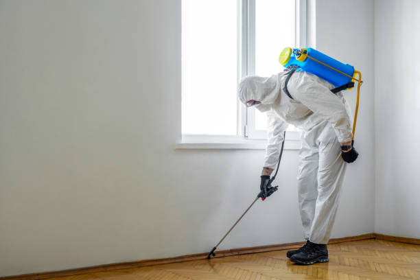 Best Pest Control Near Me in Little Canada, MN