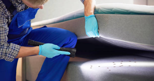 Best Emergency Pest Control  in Little Canada, MN