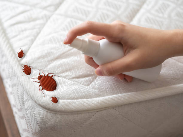 Best Commercial Pest Control Services  in Little Canada, MN