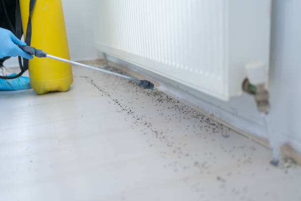Best Pest Control for Restaurants  in Little Canada, MN